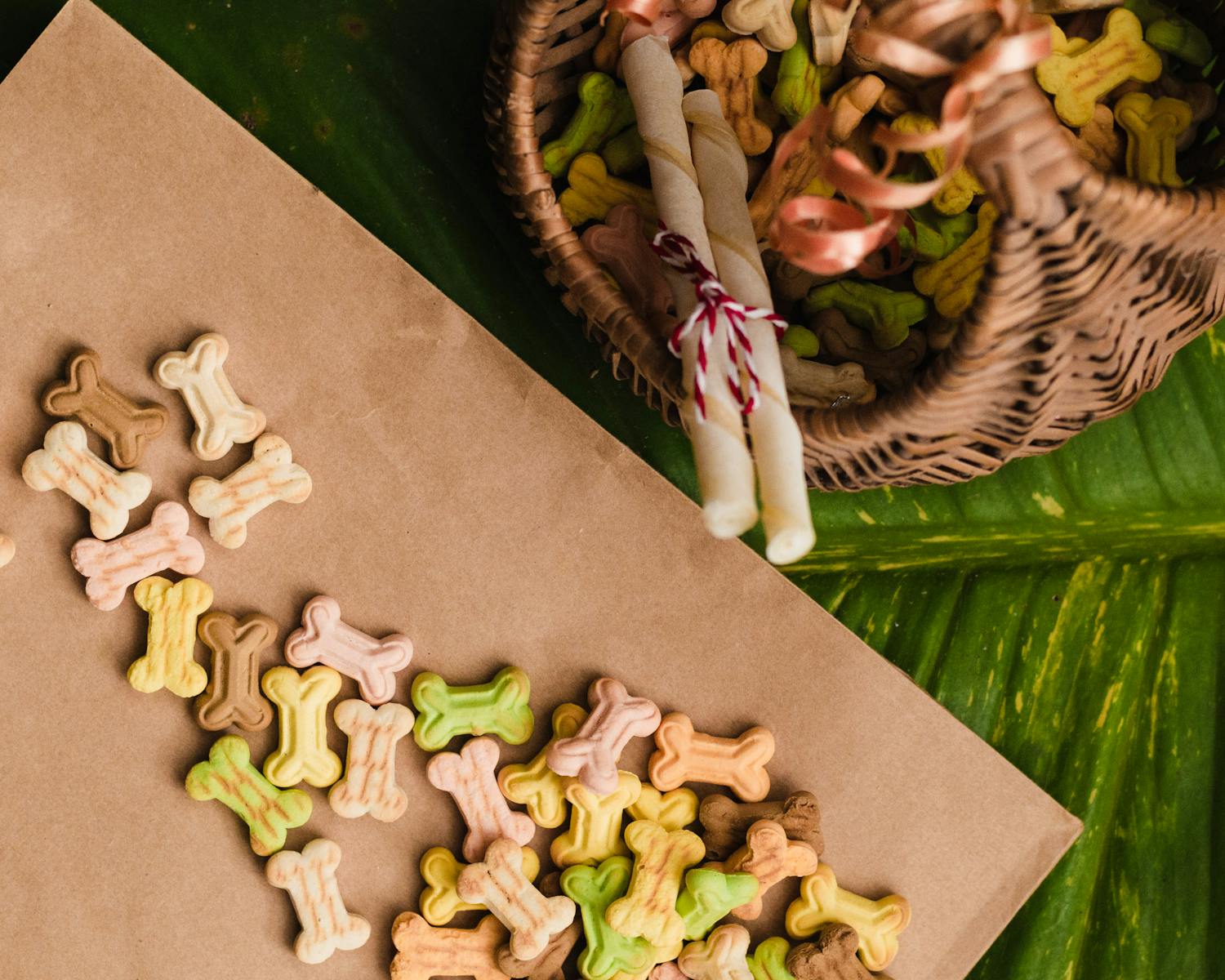Dog treats