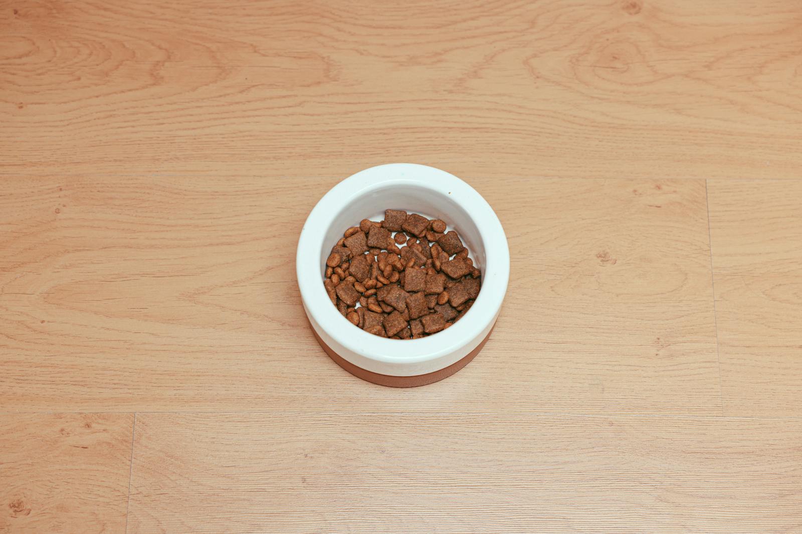 An overhead shot of dog food in a white bowl placed on a wooden floor, offering ample copy space.