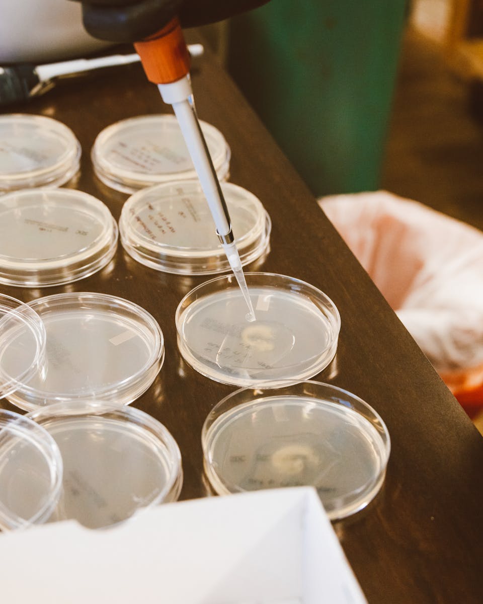 Close-up of pipetting liquid into petri dishes in a lab setting.