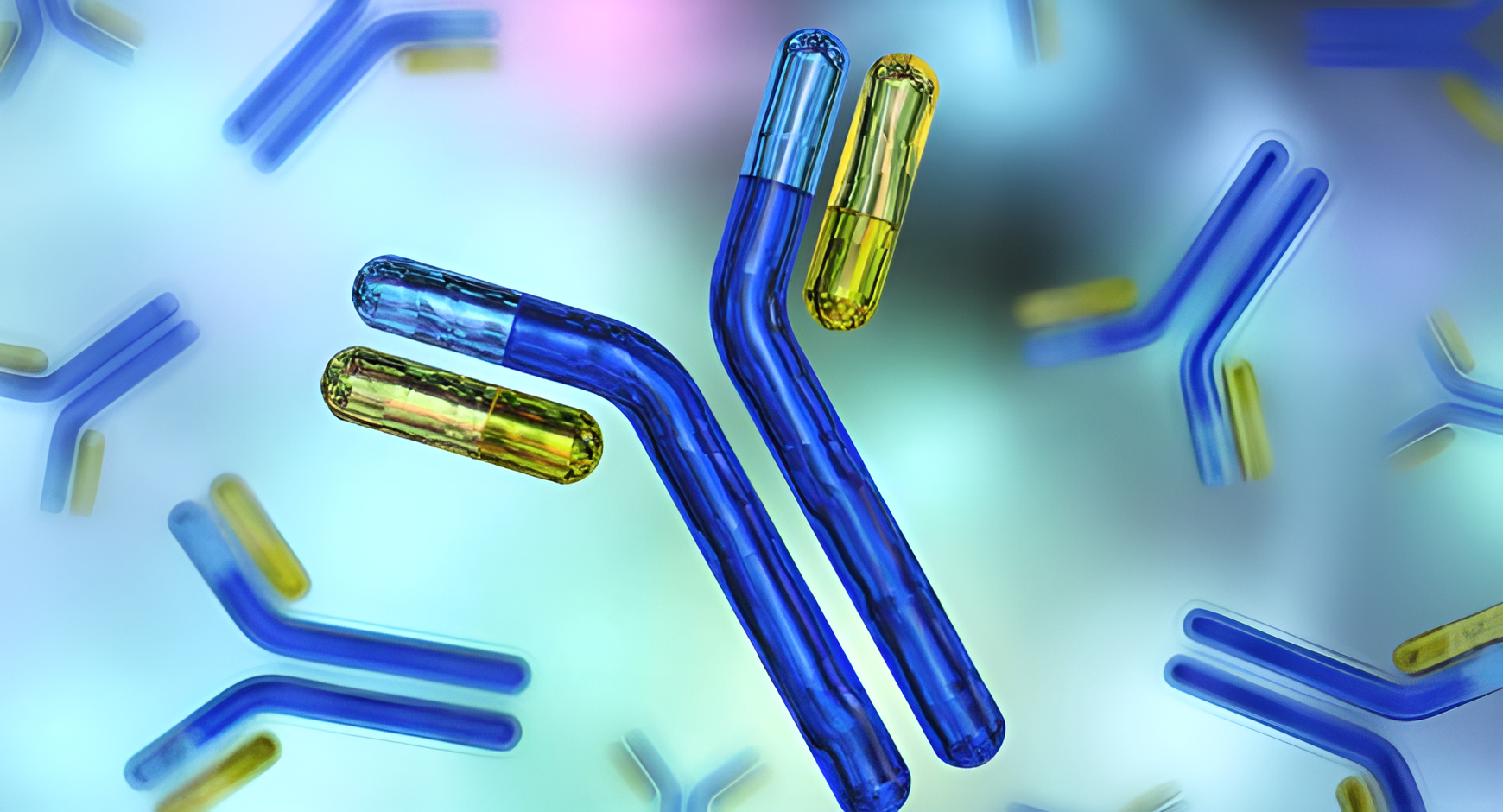 Surface plasmon resonance (spr) sensor chips