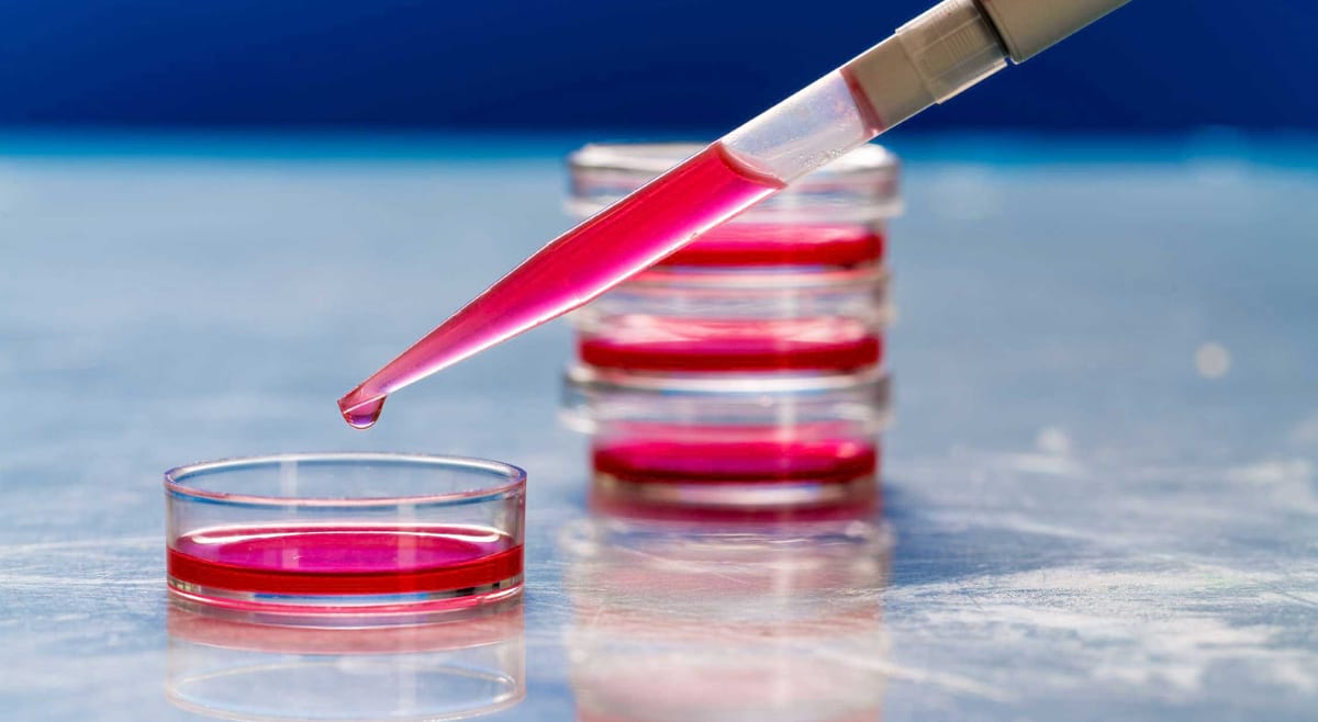 Media and buffer preparation solution for bioprocessing
