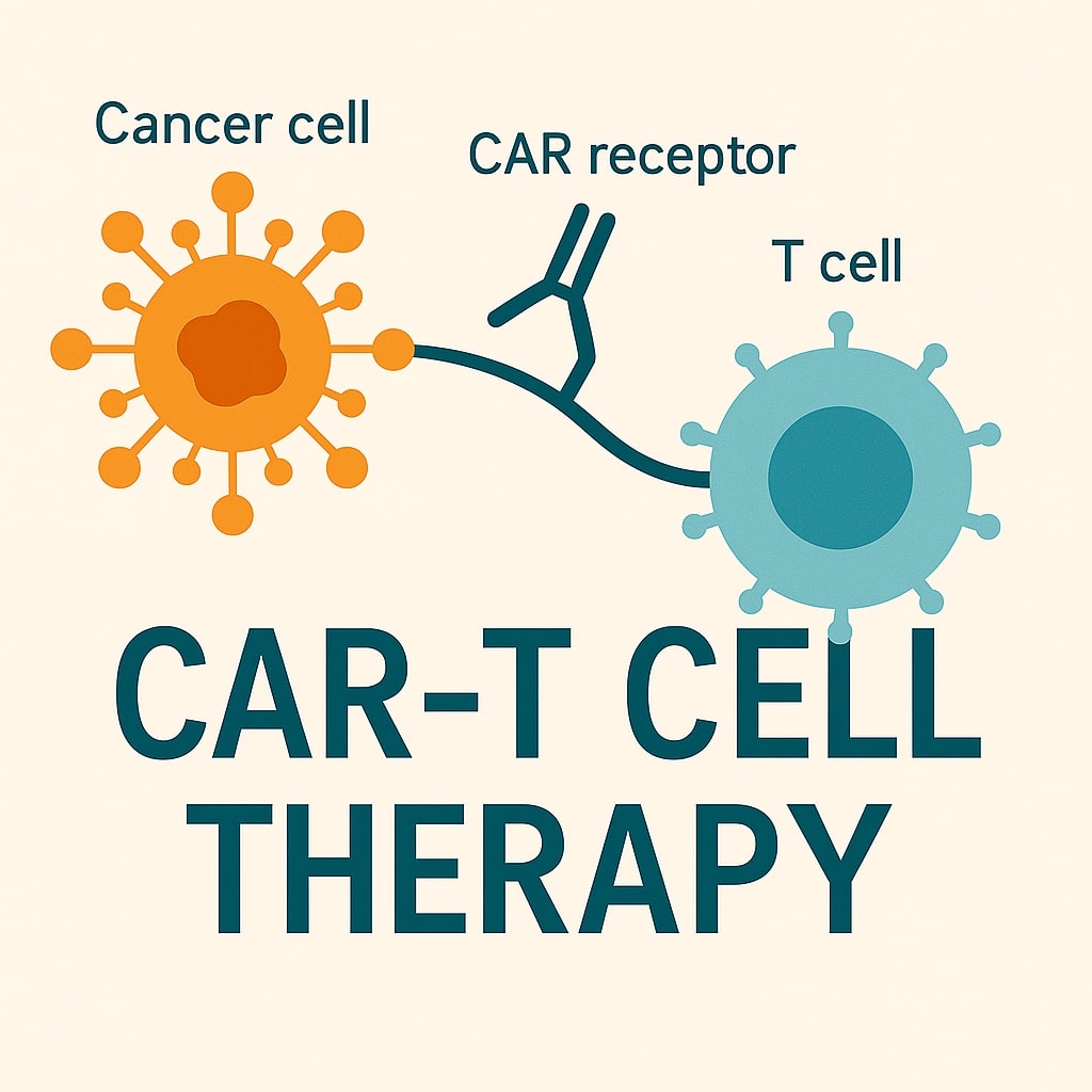 Car-t cell therapies