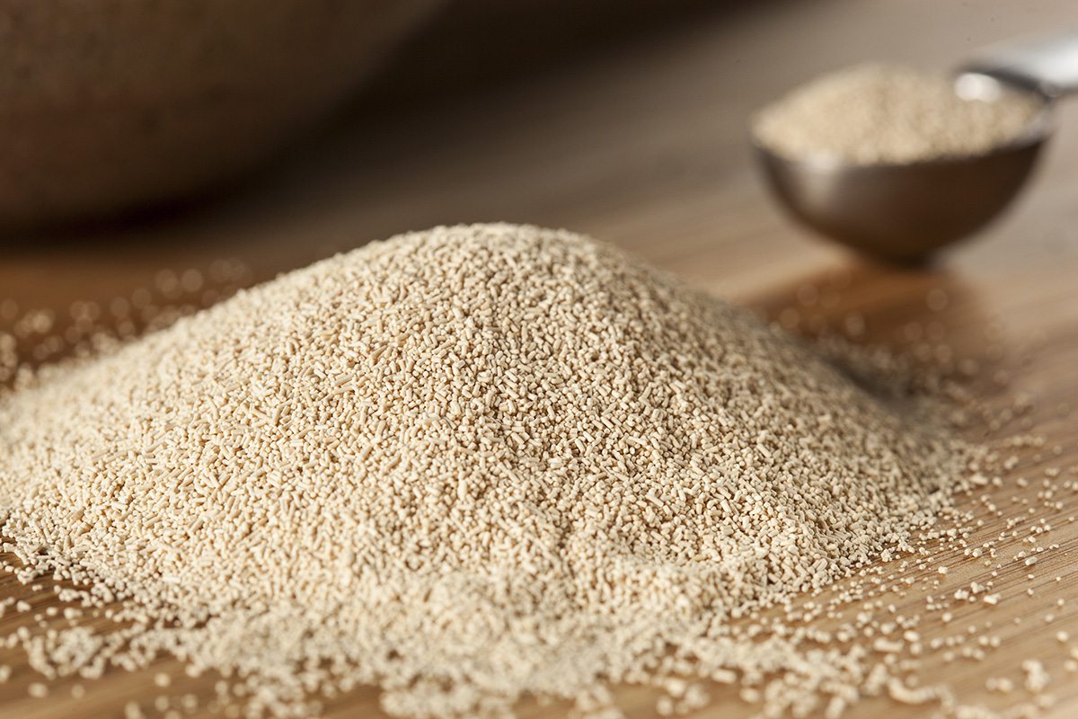 Spray drying solution for heat-sensitive products