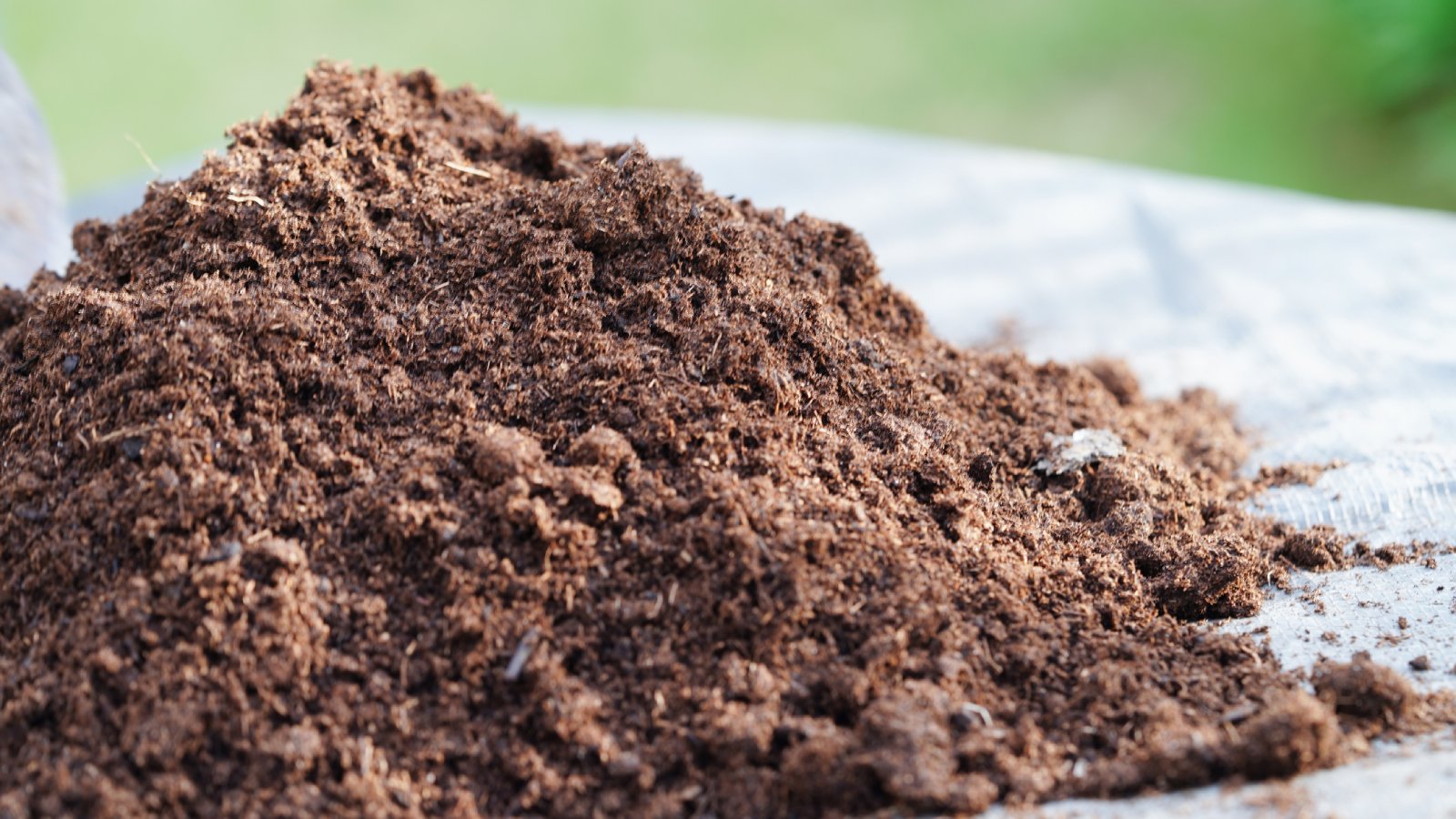 Biosolids
