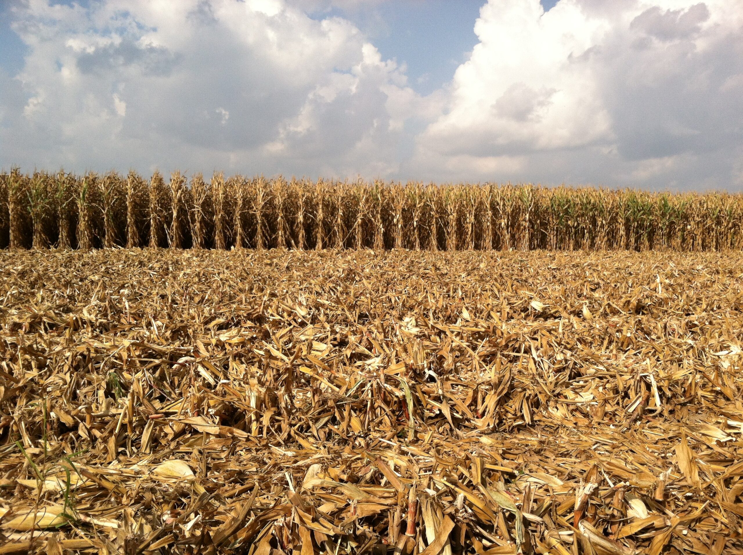 Agricultural residues
