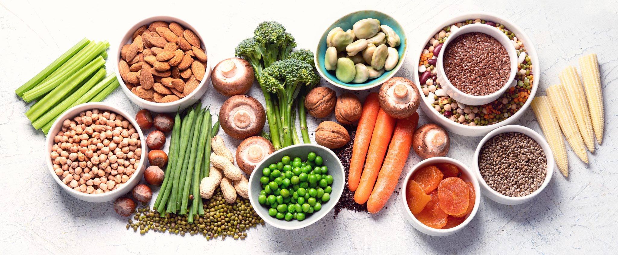 Alternative proteins