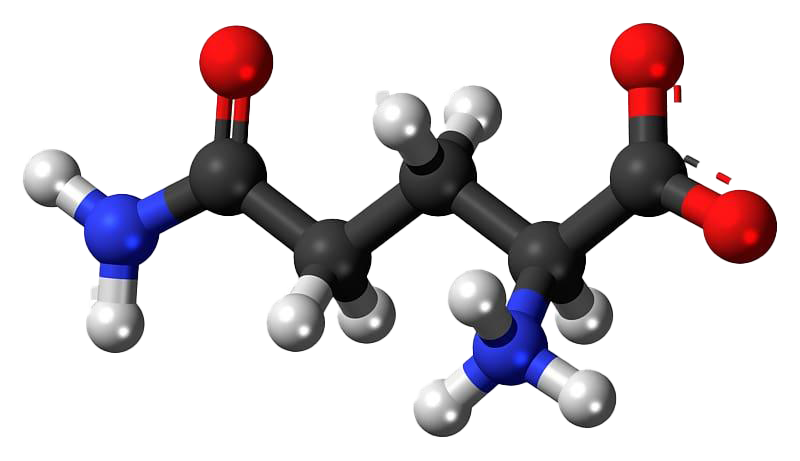 Amino acids