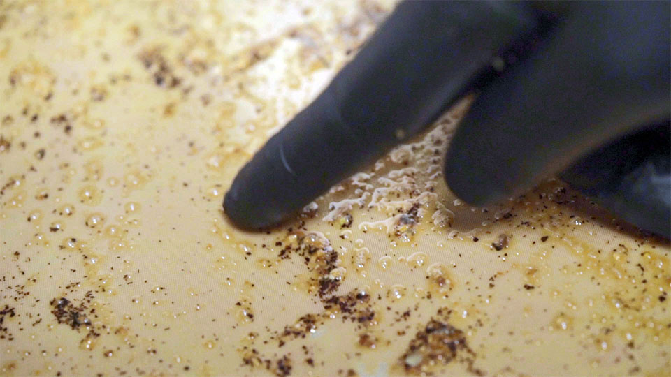 Chocolate enrobing, moulding, and cooling tunnel