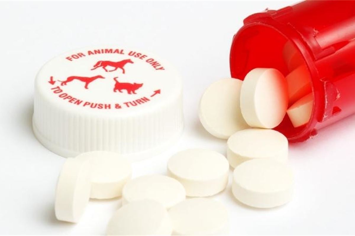 Animal health products