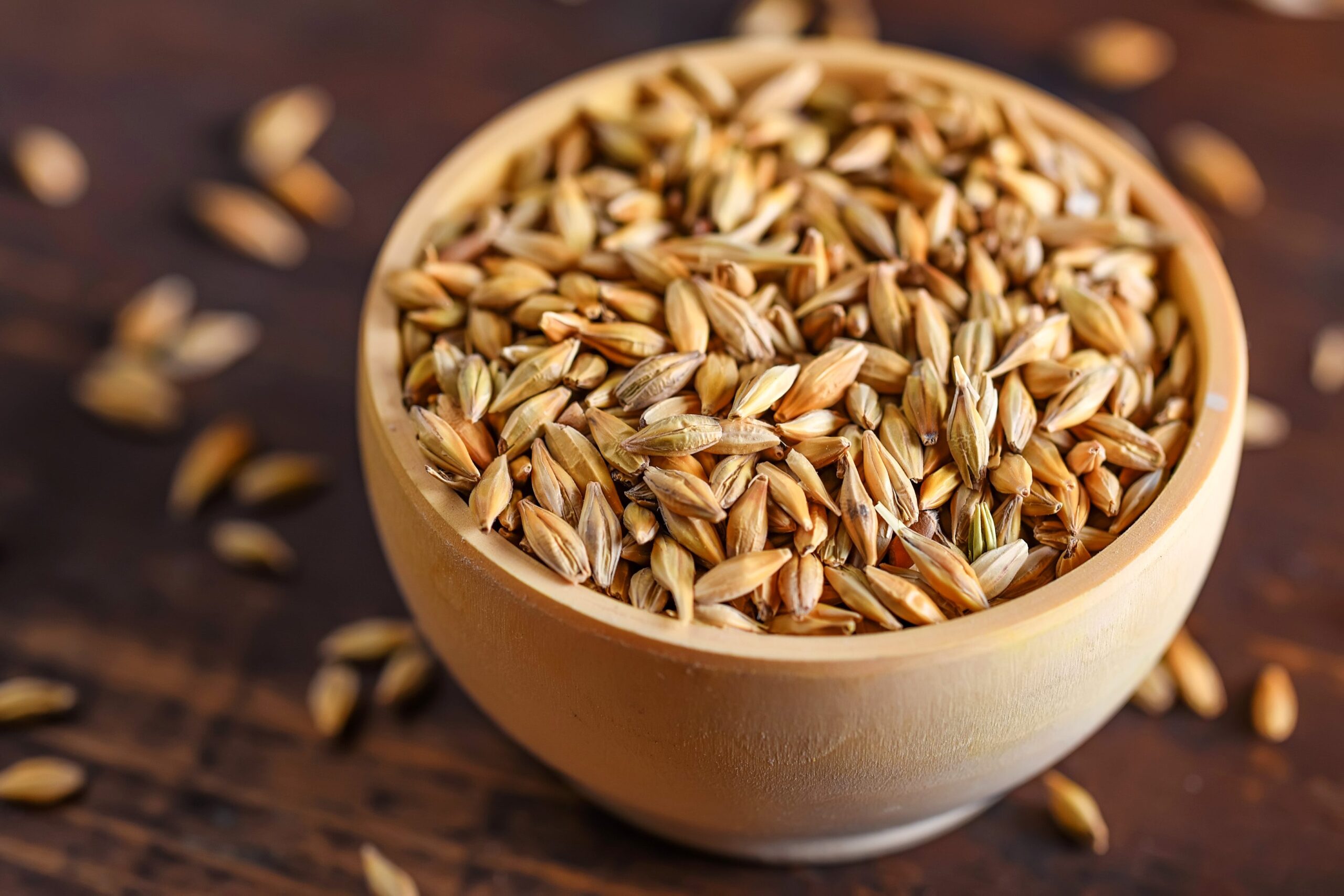 Barley malt