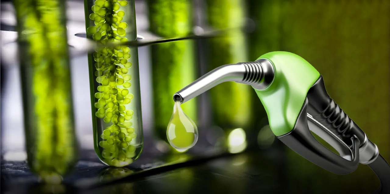 Bioethanol