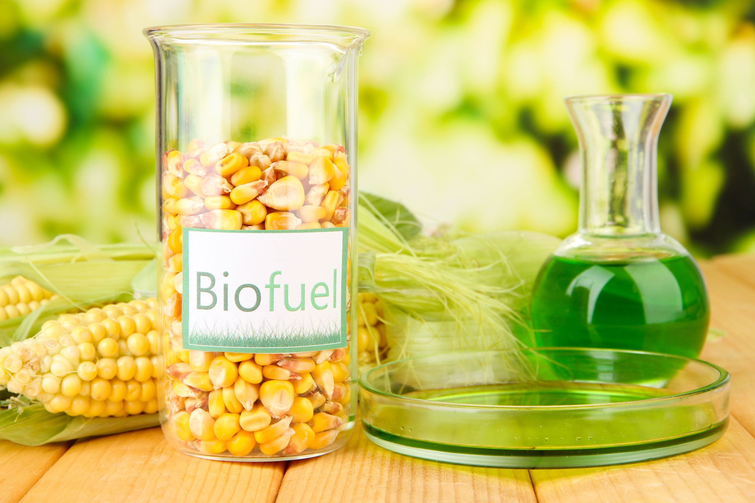 Biofuel