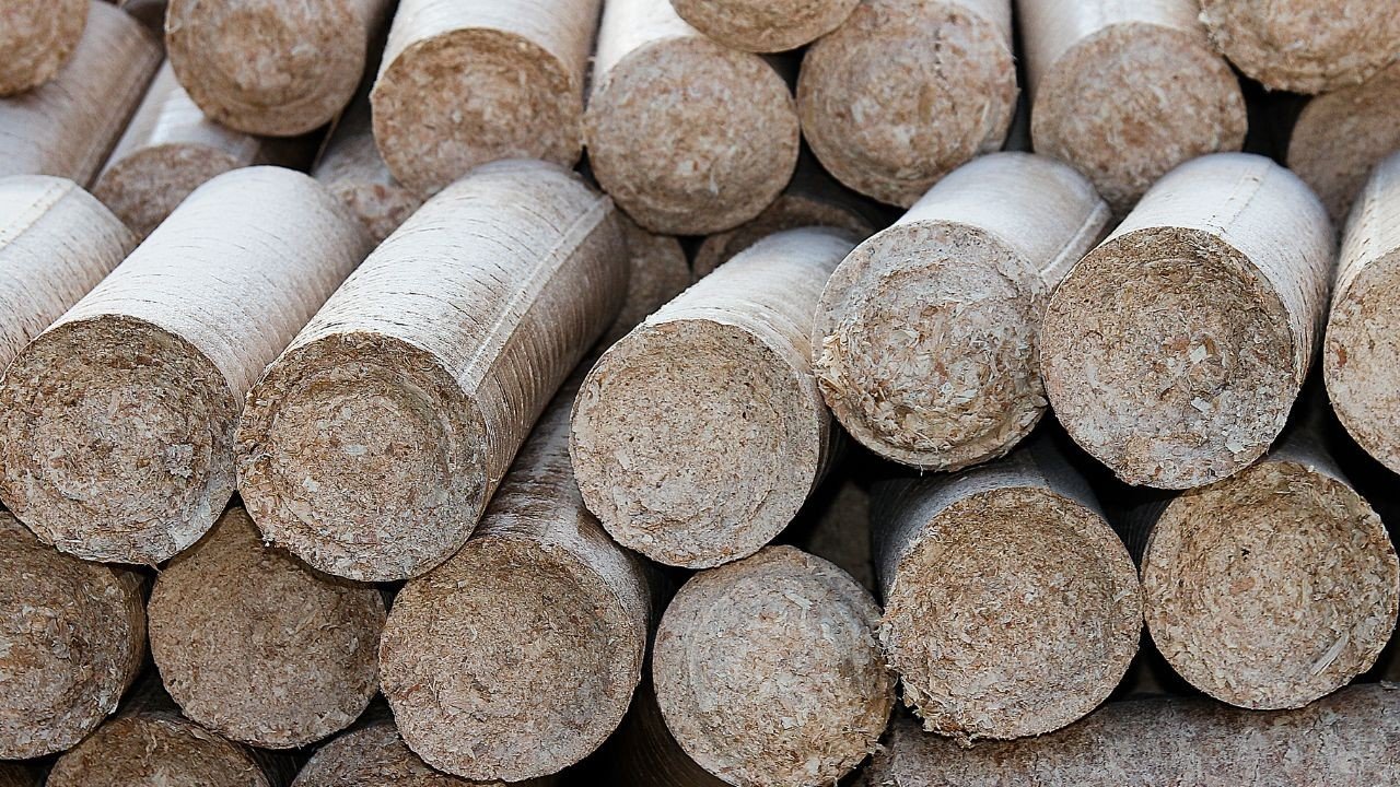 Biomass briquettes