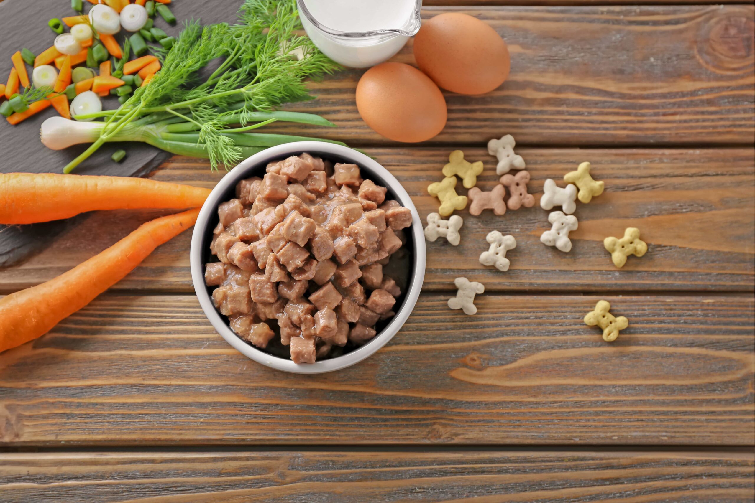 Canned dog food