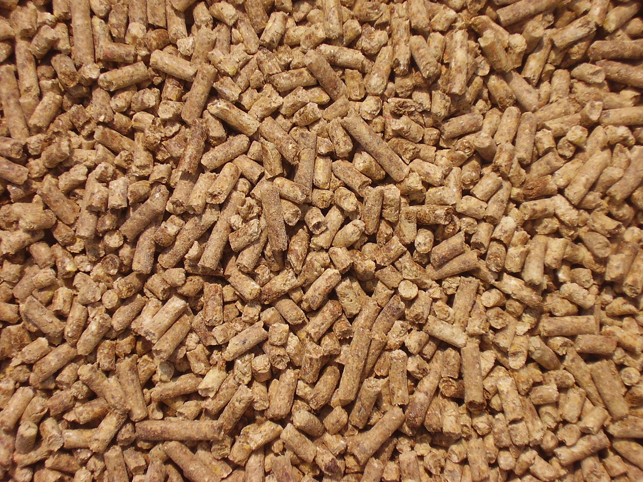 Cattle feed
