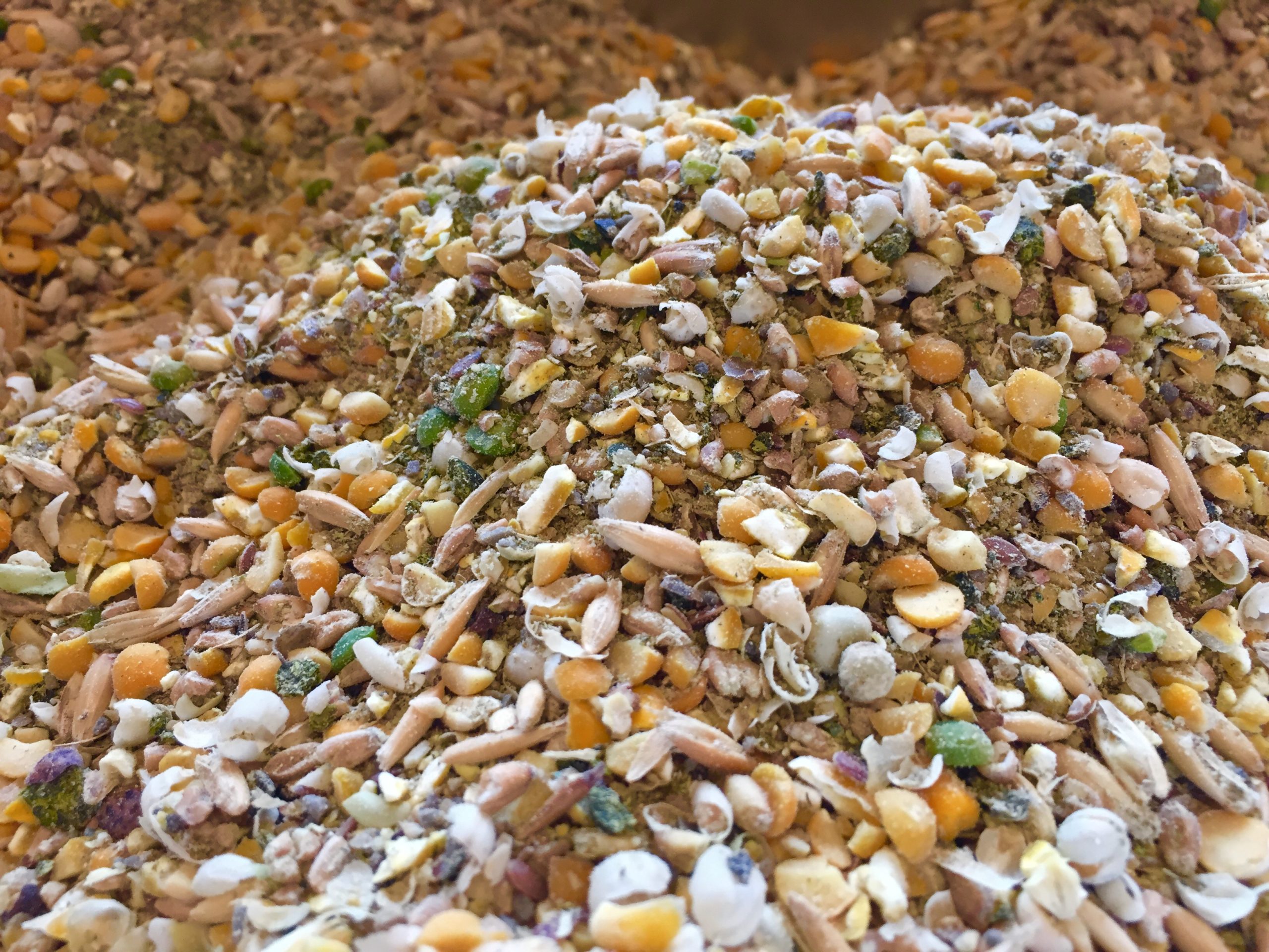 Grain dryer with air circulation system