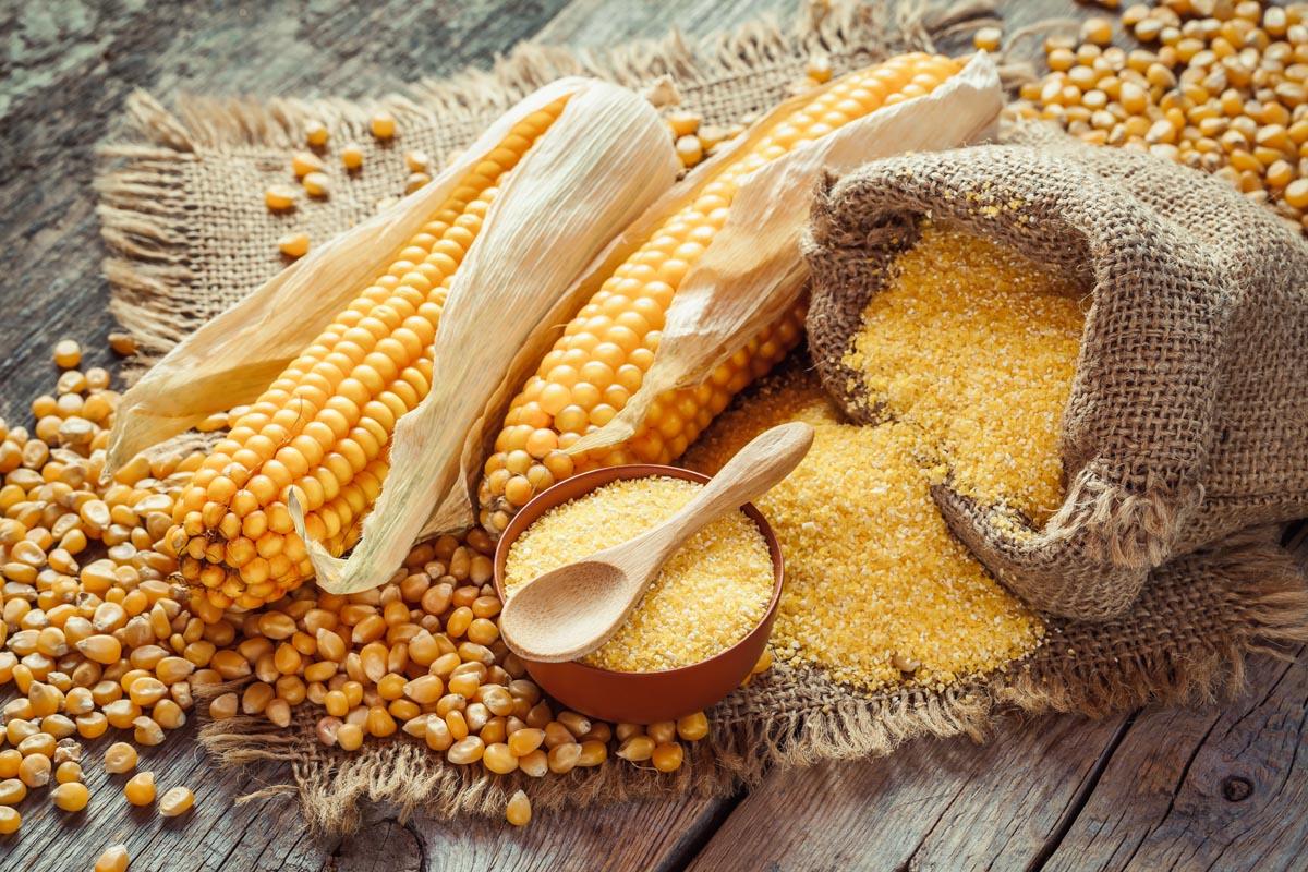 Corn gluten meal