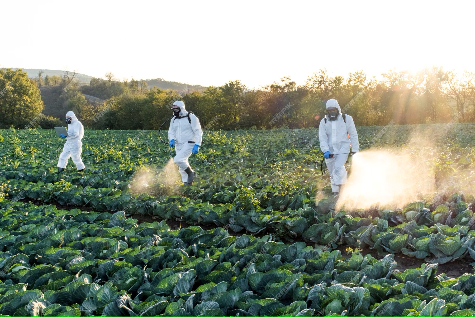 Crop protection agents