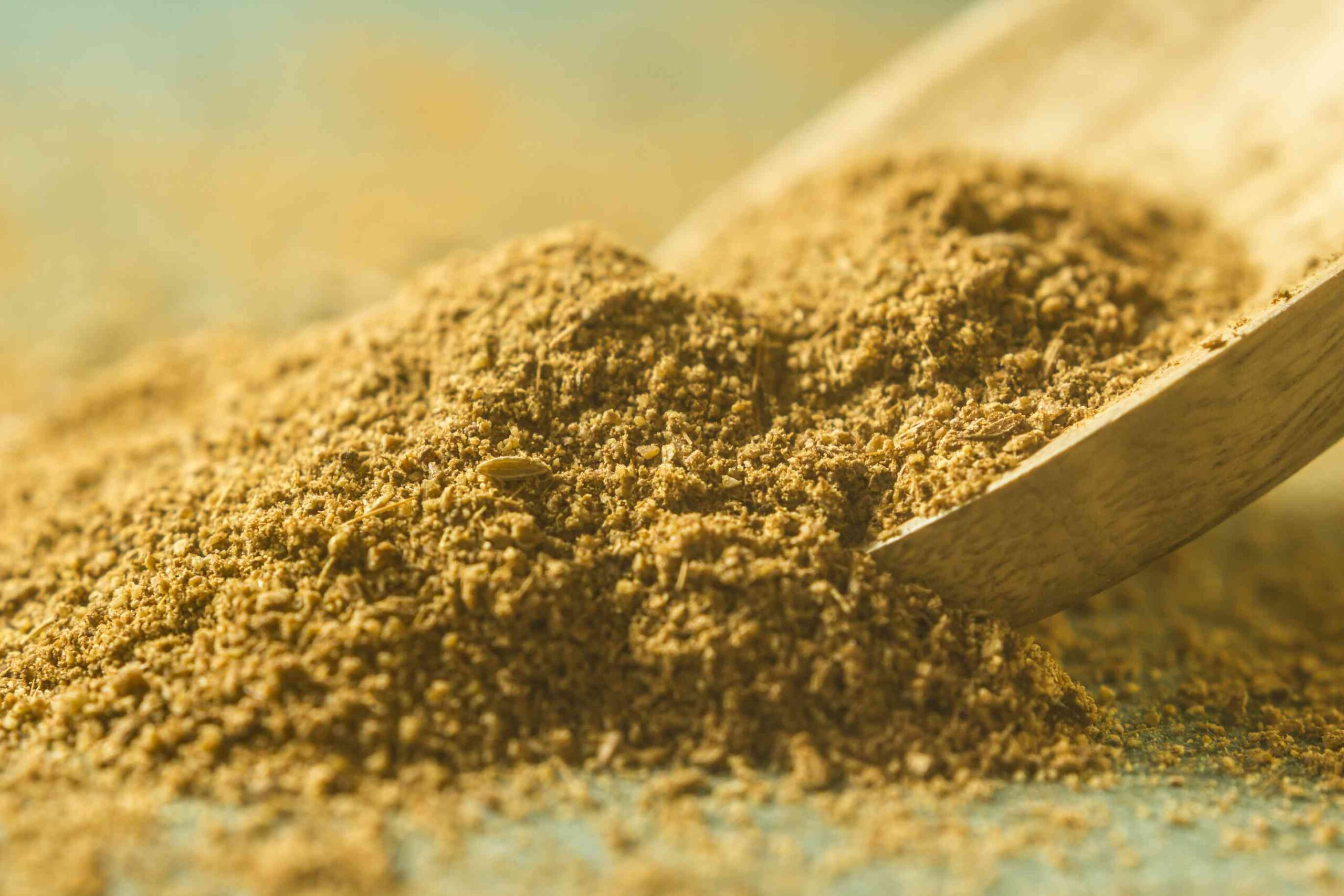 Cumin powder