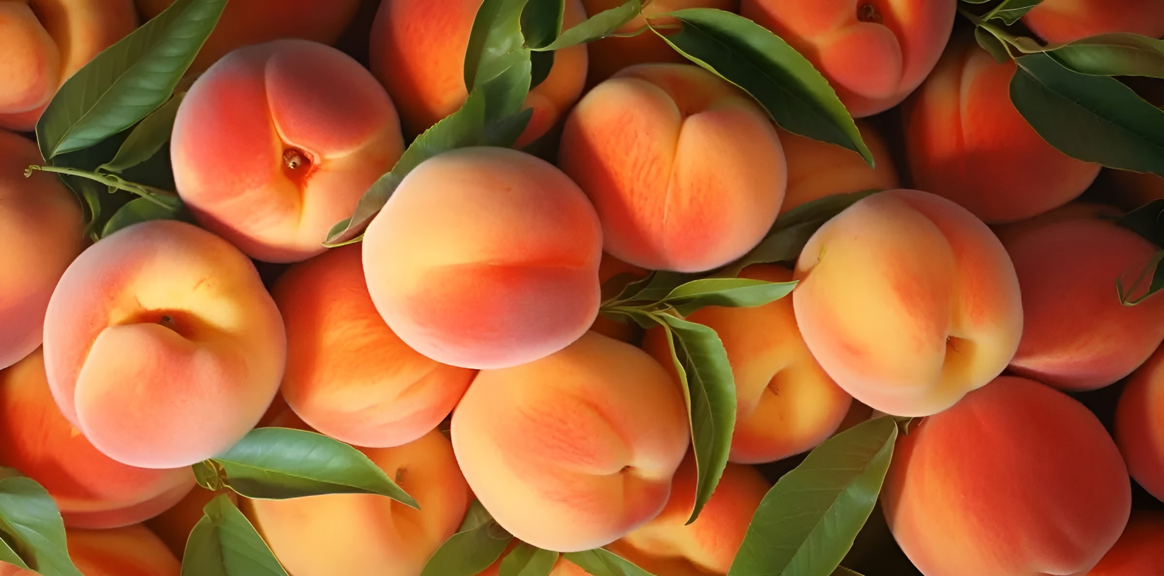 Peaches