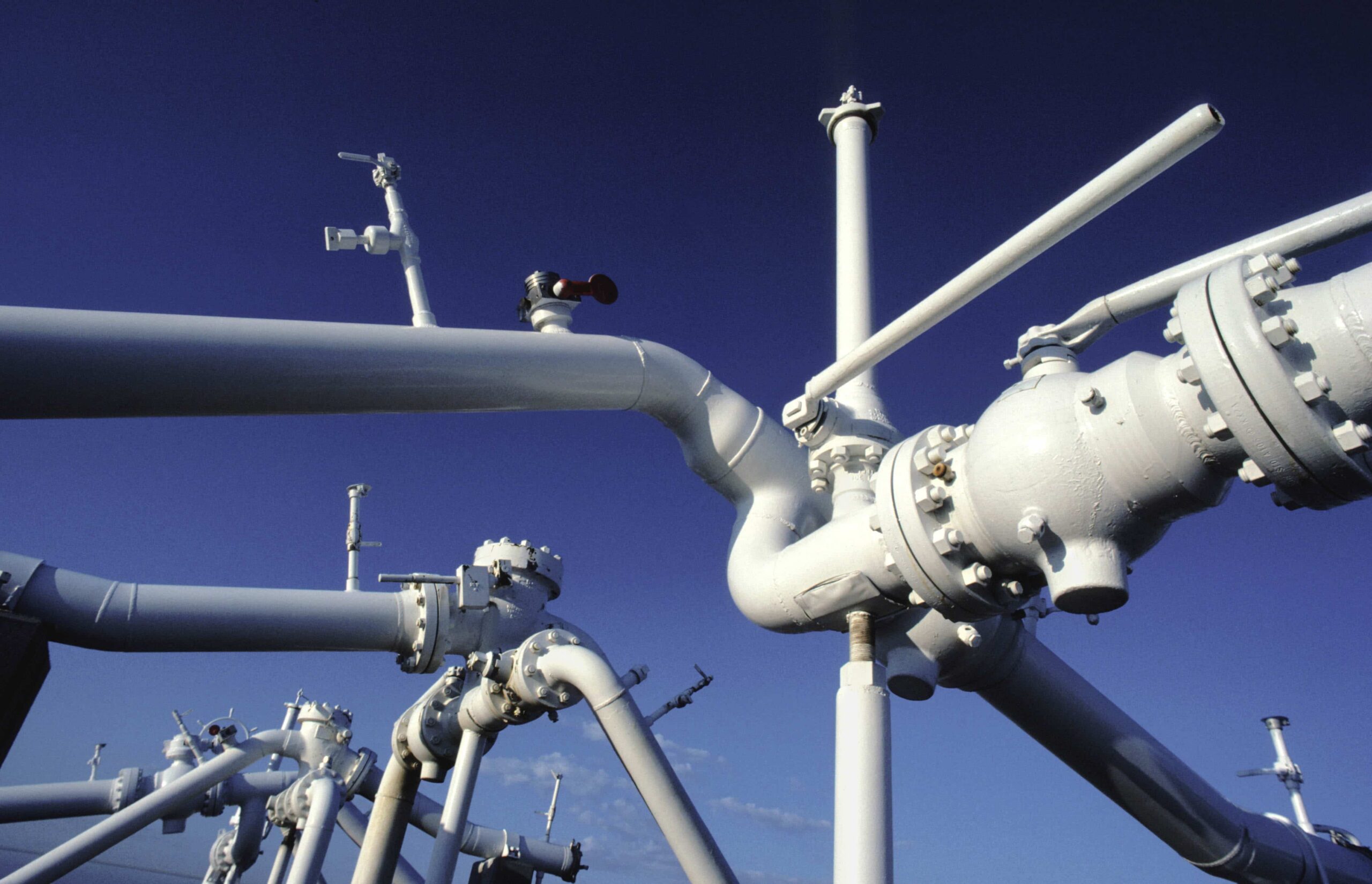 Homogenizing mixer for product distribution