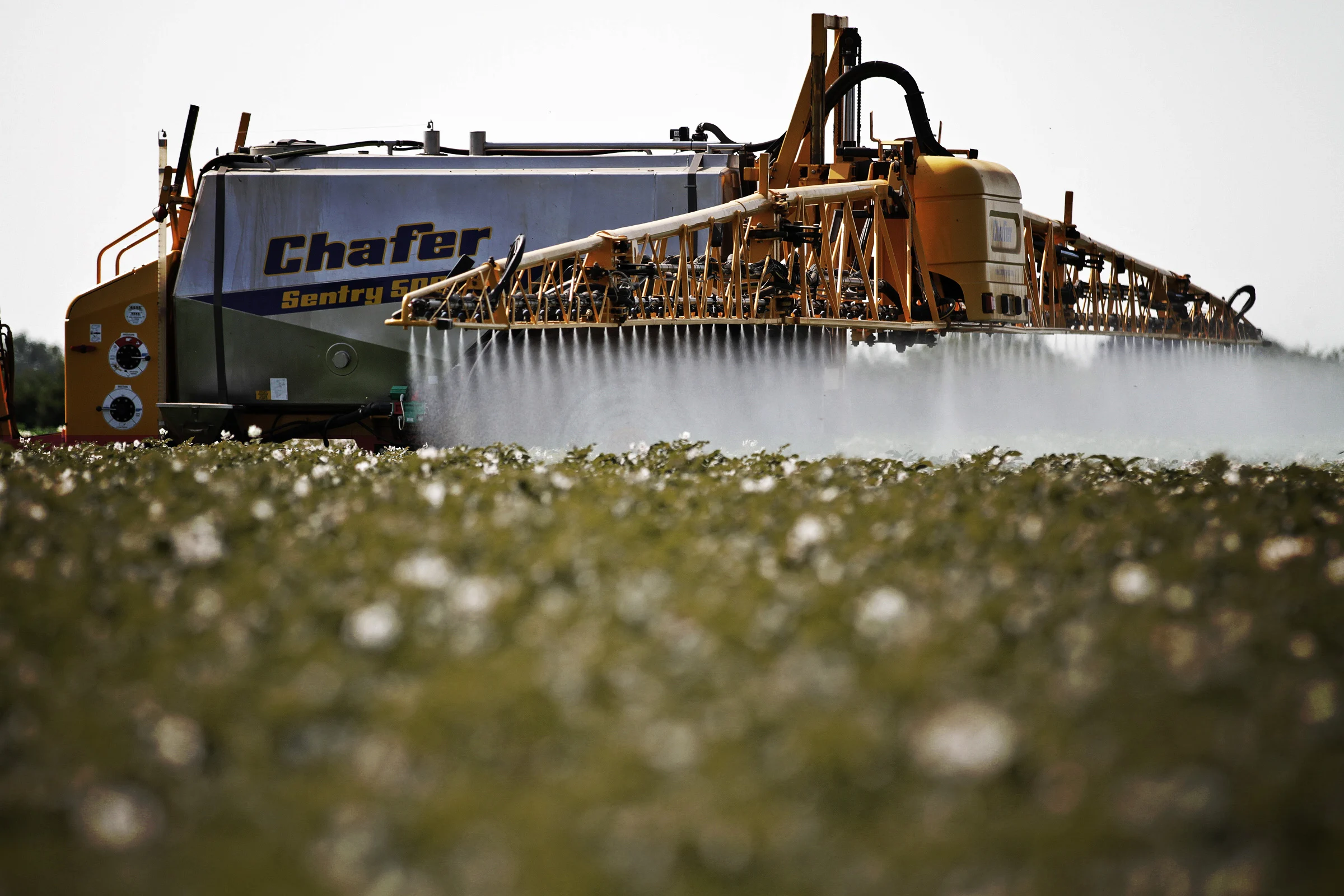 Glyphosate herbicides