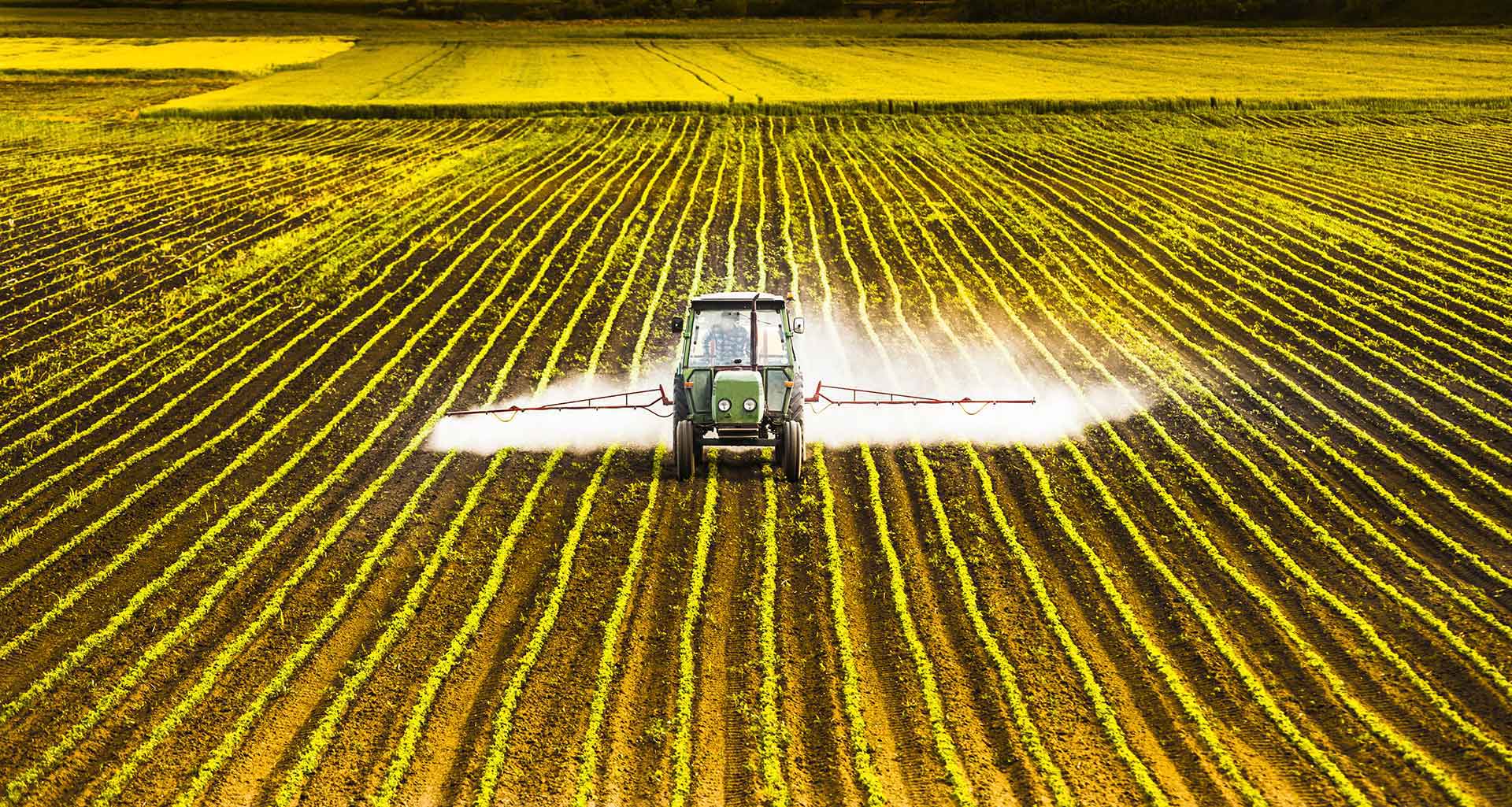Glyphosate