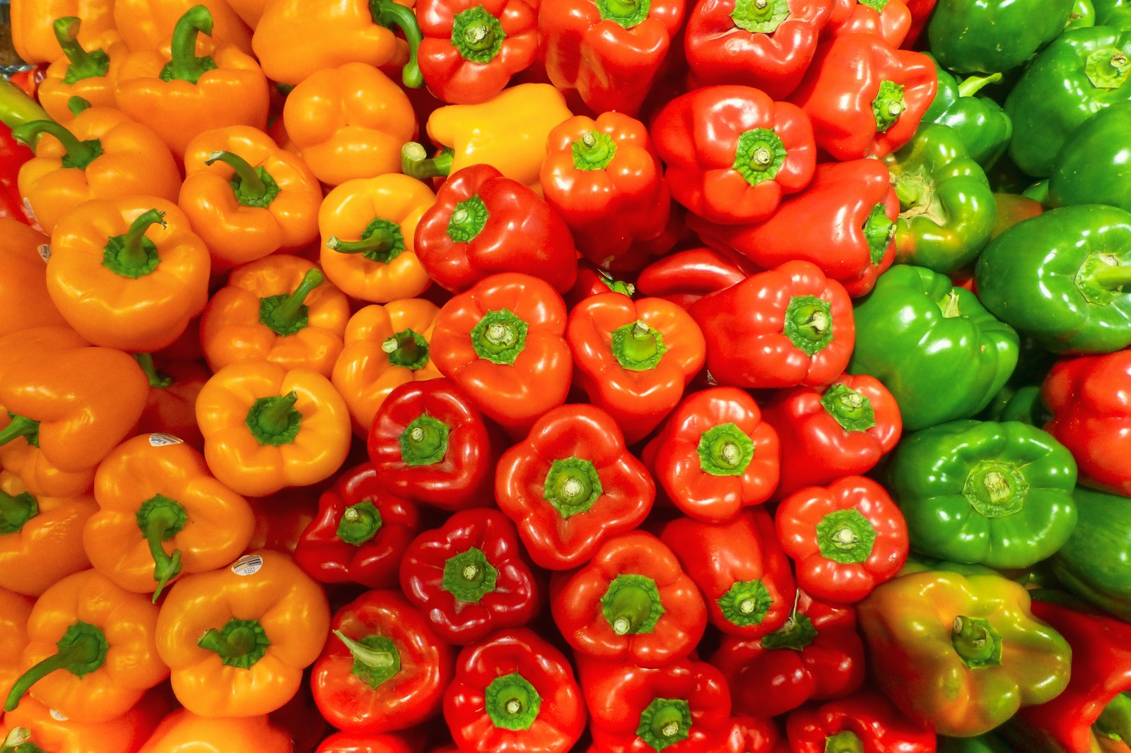 Air dryer for vegetables and fruits processing