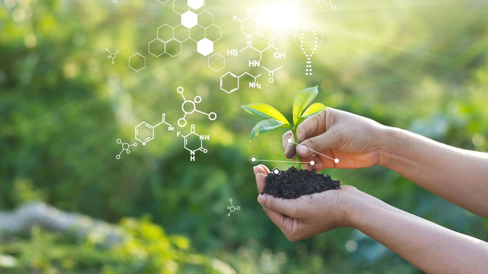 Green chemistry