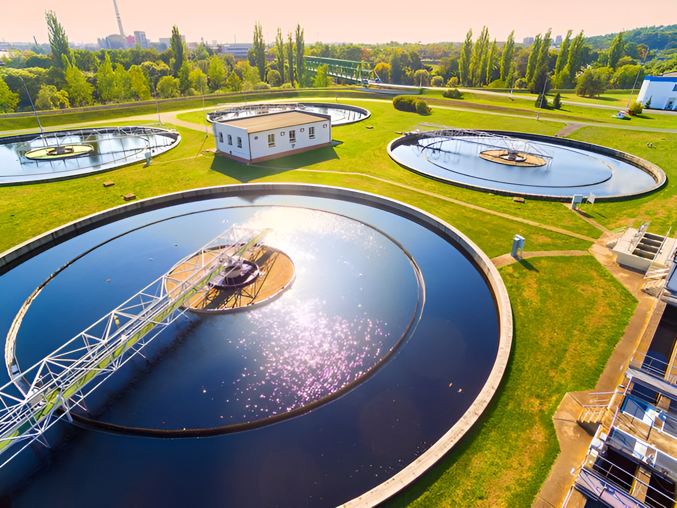 Bioenergy