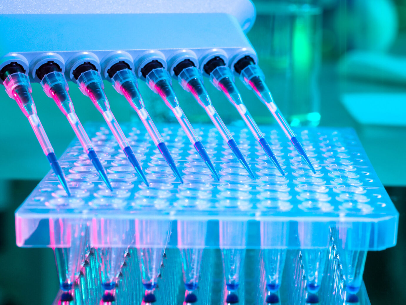 High-purity water system for clinical diagnostic analyzers