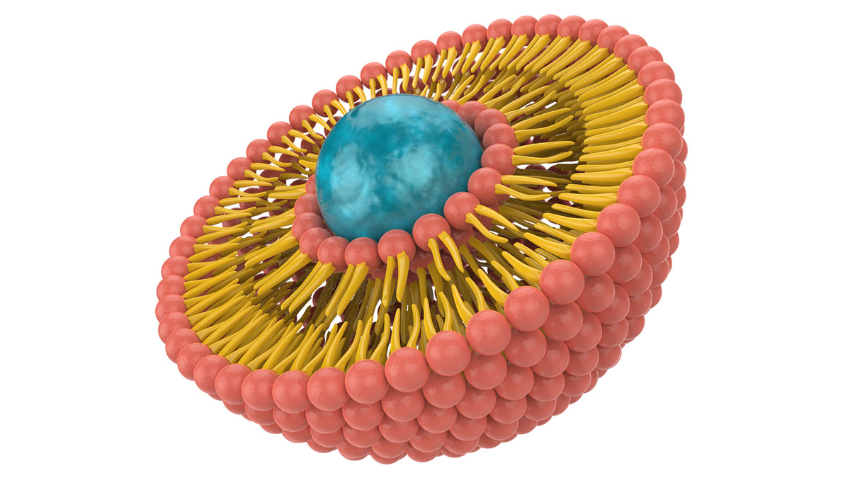 Liposomes