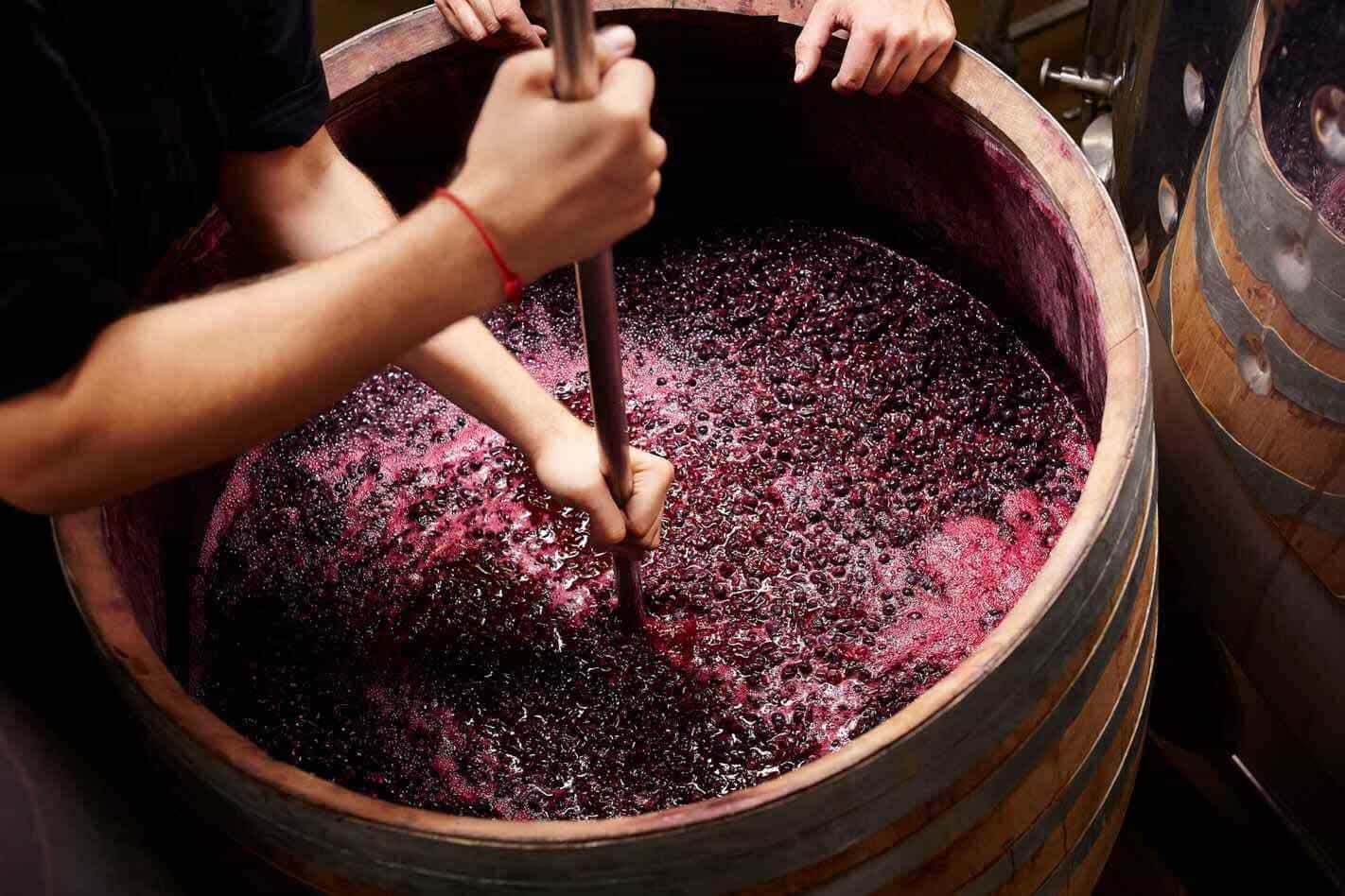 Heat exchangers for wine processing