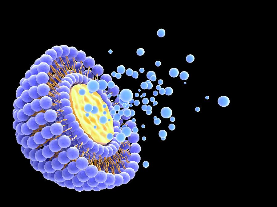 High-pressure homogenizer for food and pharmaceuticals