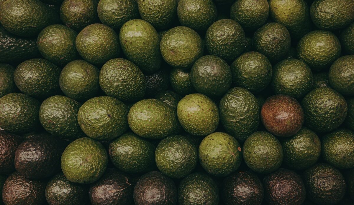 green and purple avocado fruit lot