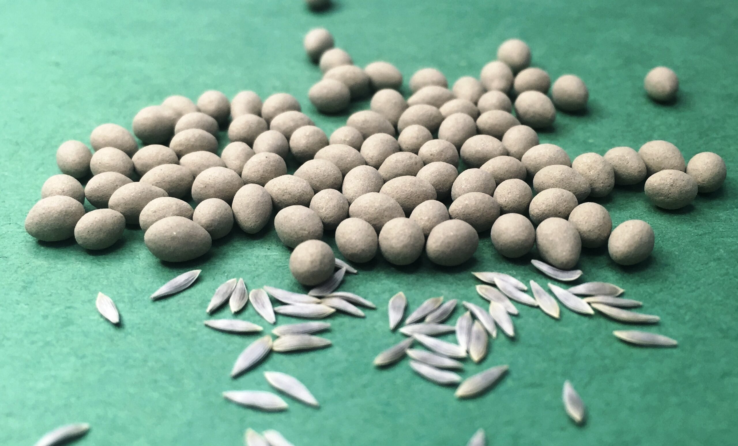 Seed drying system for large volume coated seeds