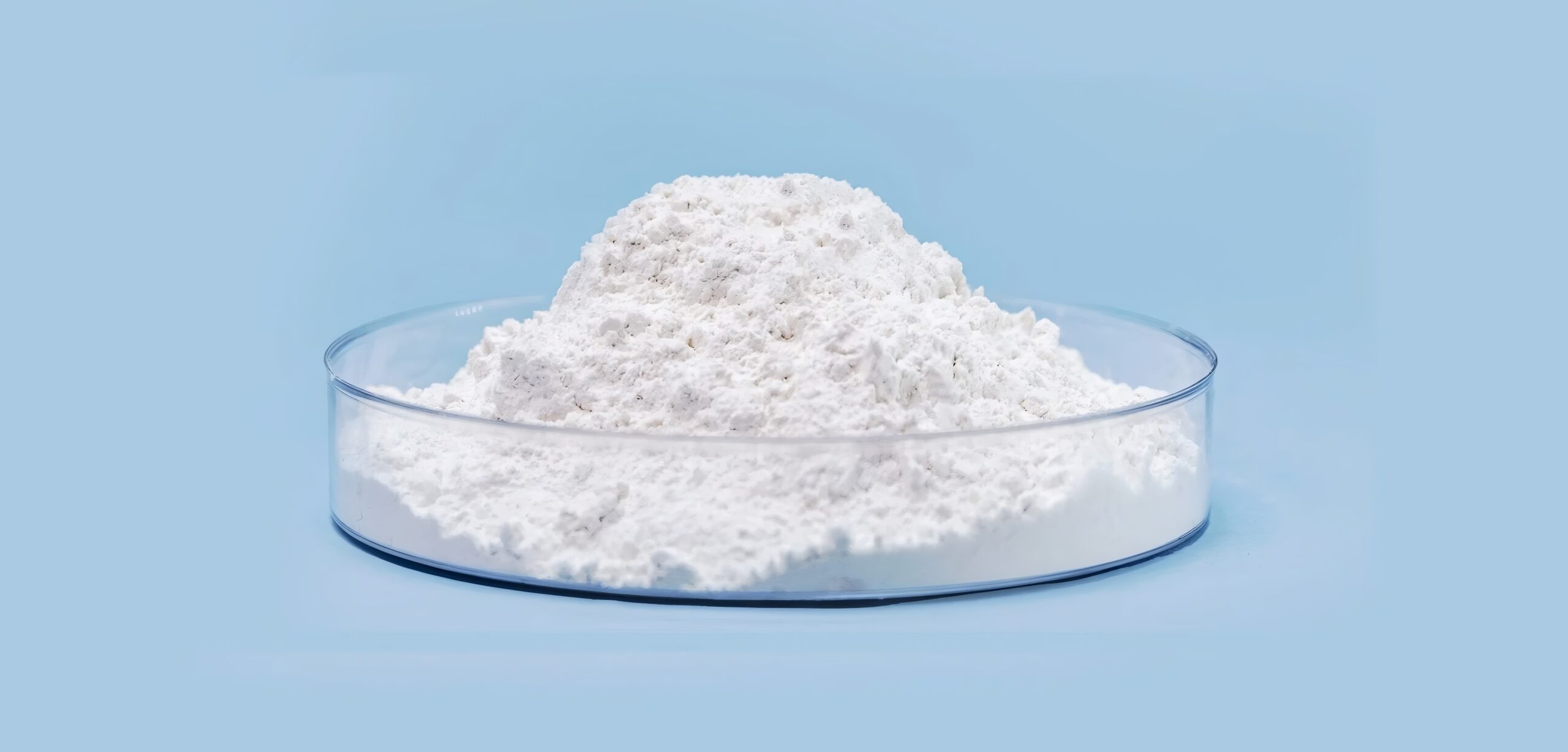 Pneumatic conveying system for dry bulk powders