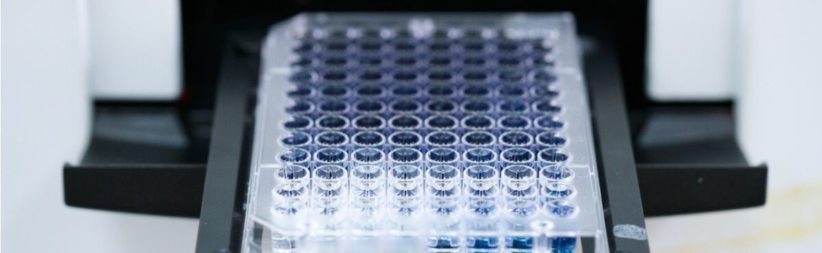 Protein assays