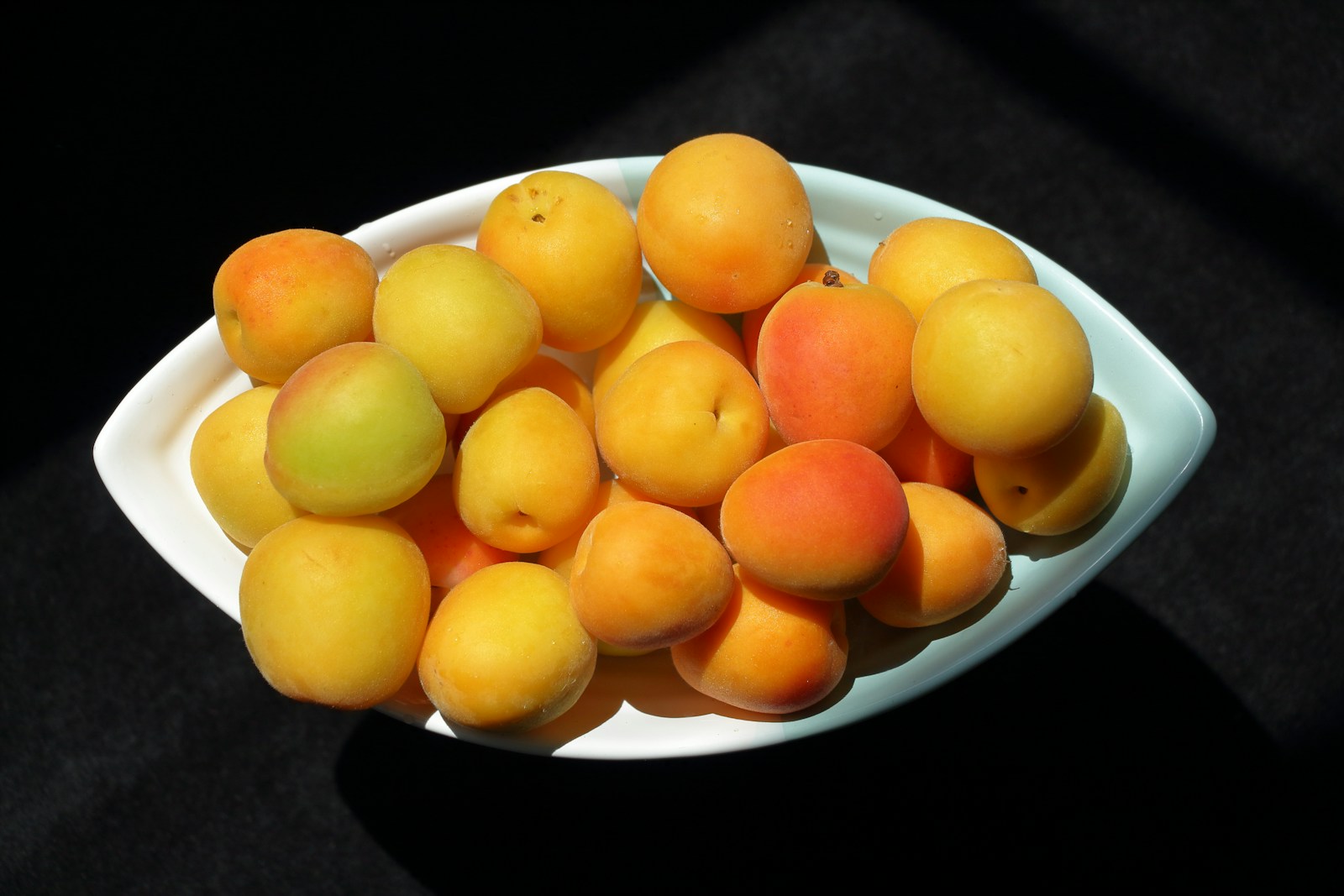 A white bowl filled with oranges on top of a table