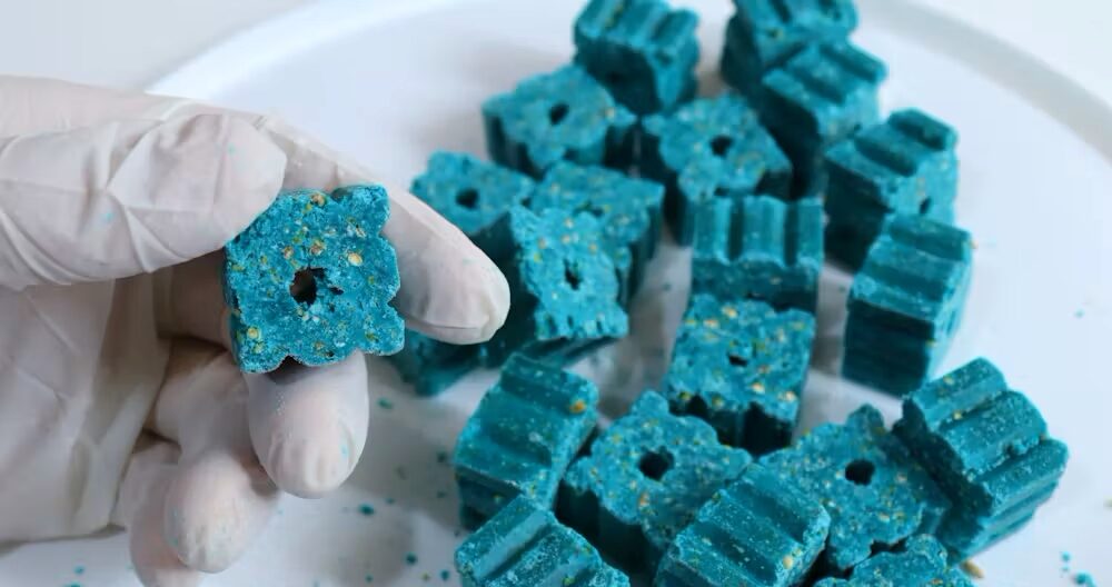 Custom extruder for specialized industrial applications