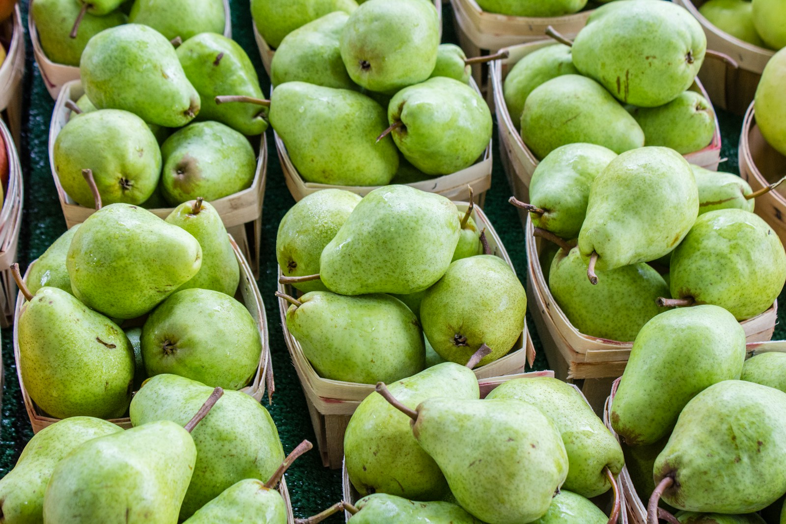 Fruit processing and packaging line