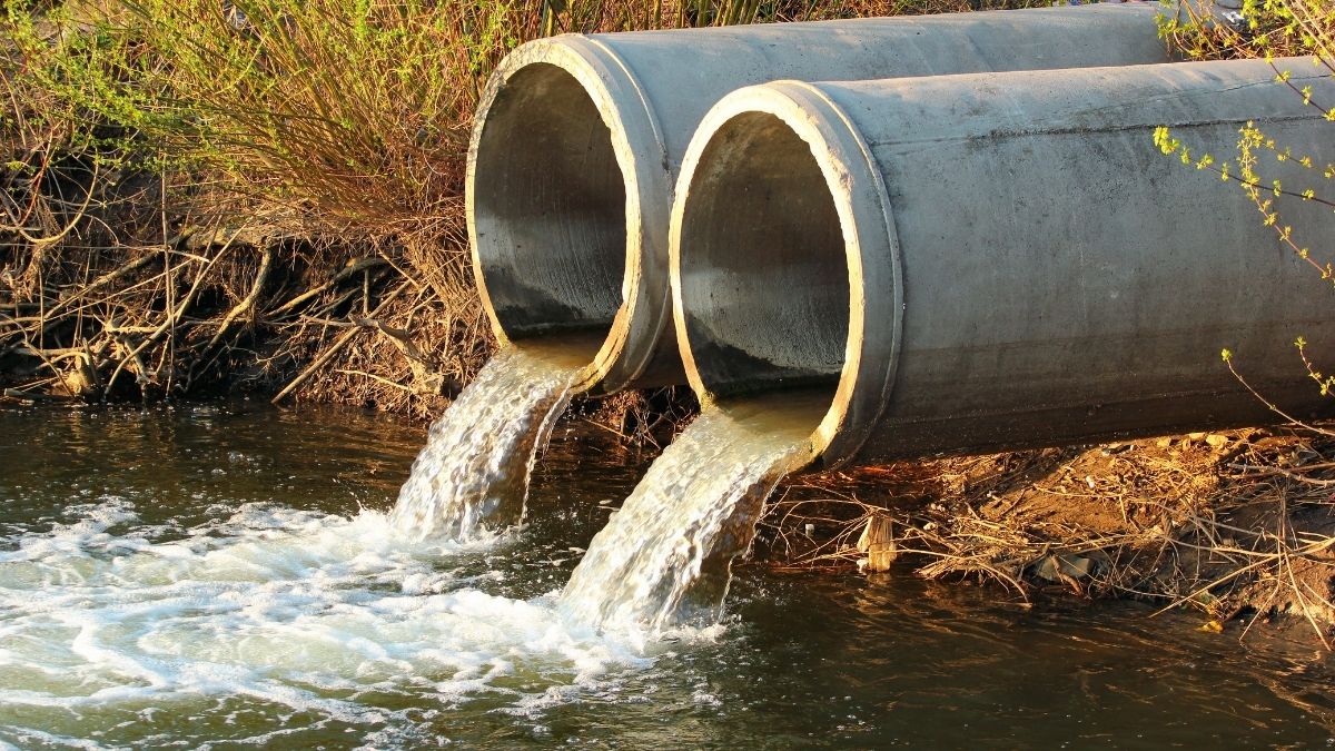 Sewage