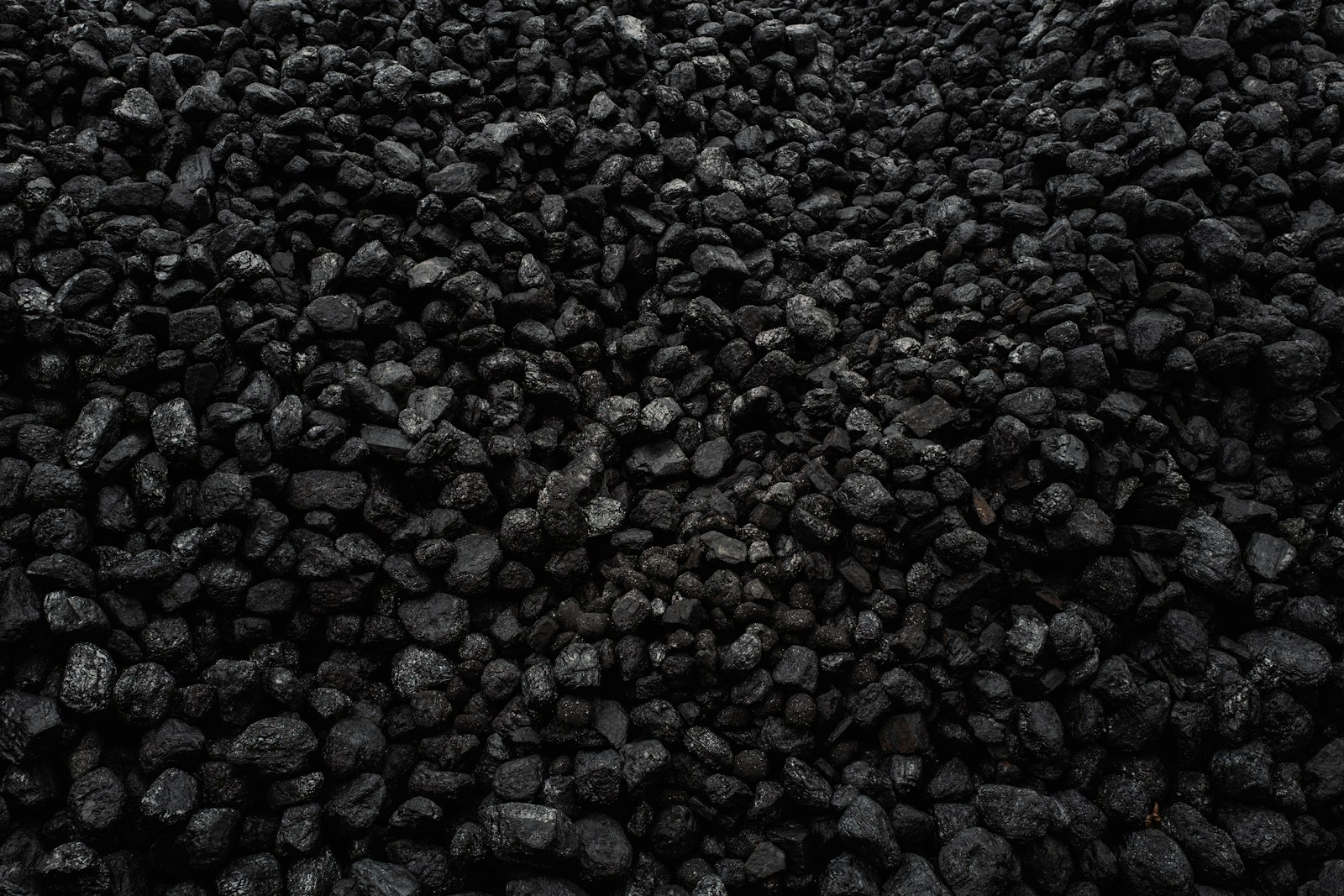 Pulverized coal