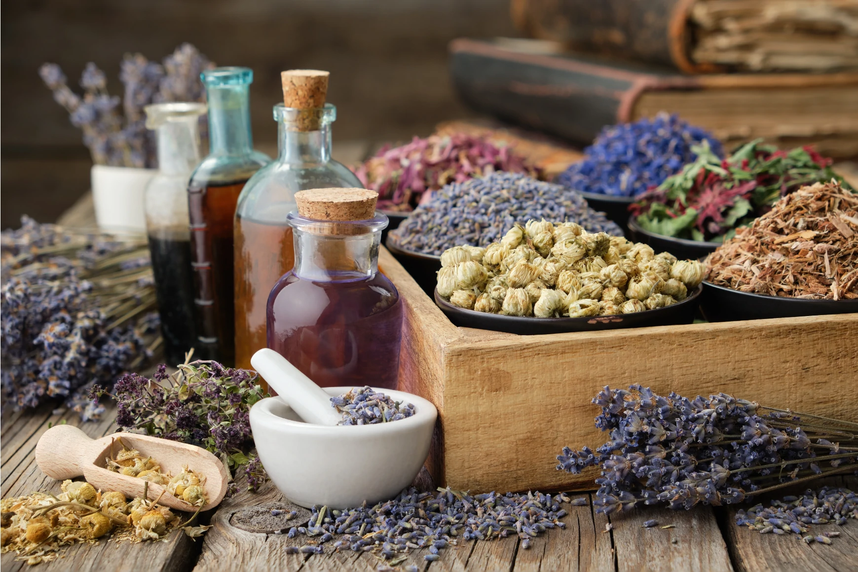 Herbal tinctures