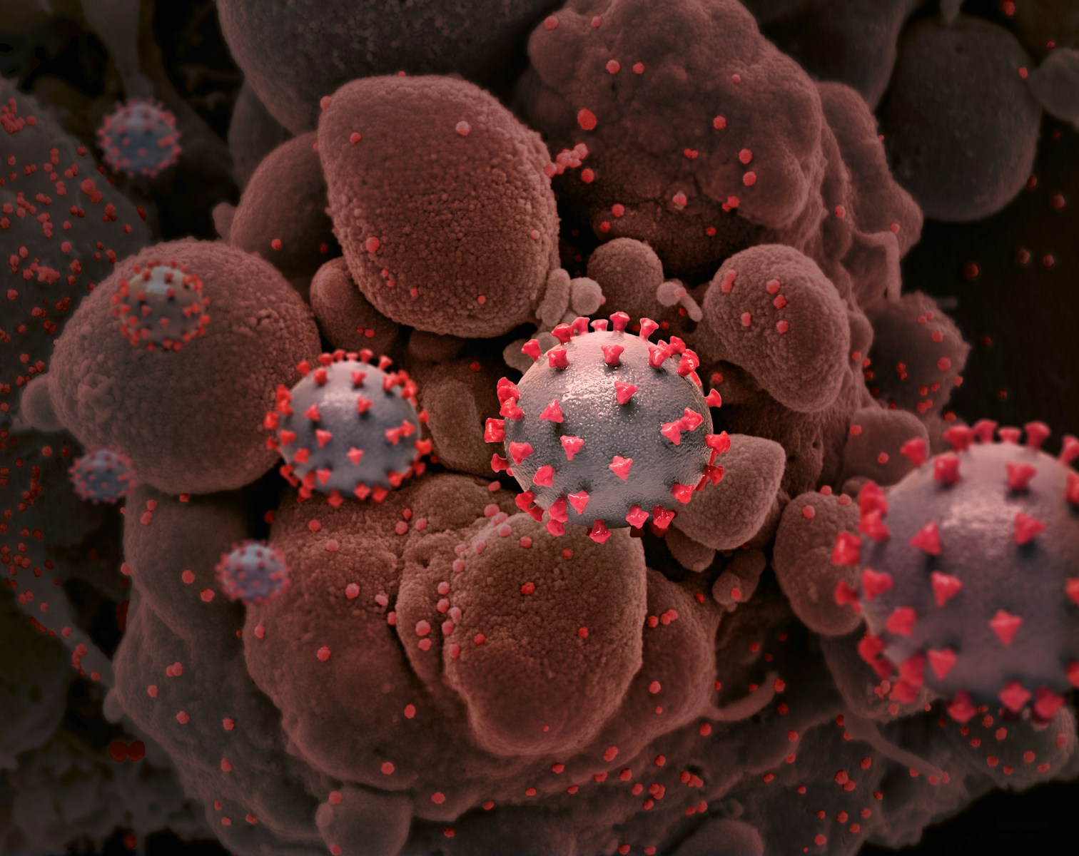 Stem cells