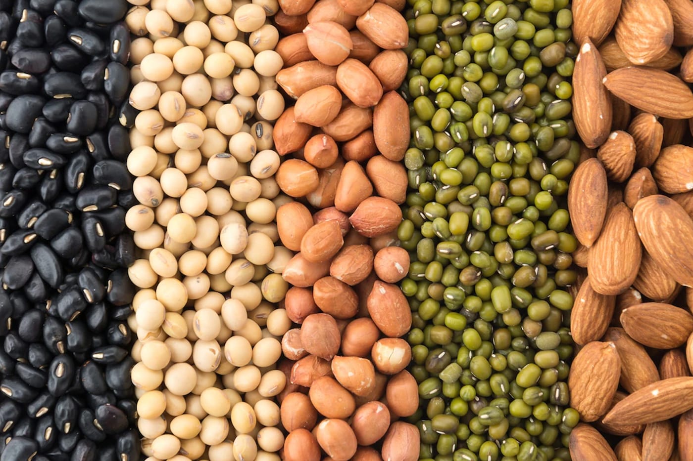 Vegetable seeds