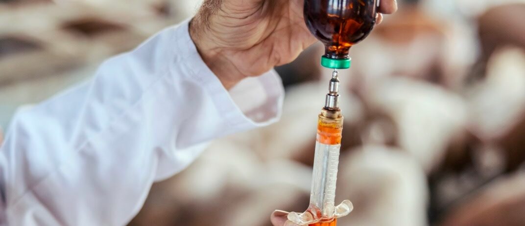 Veterinary antibiotics