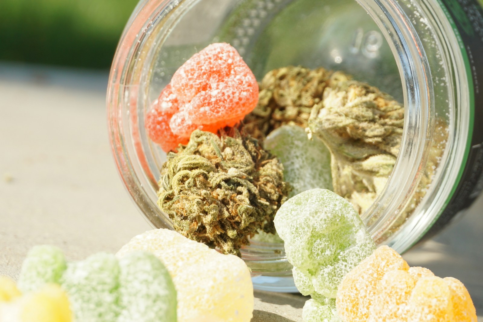 Cannabis and hemp distillation system