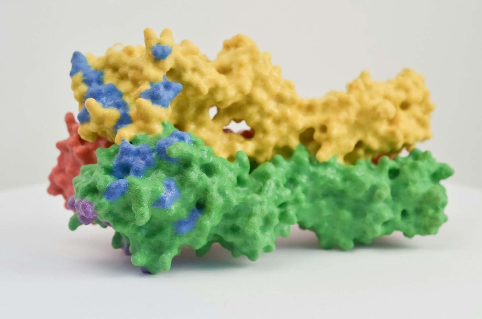 Enzymes