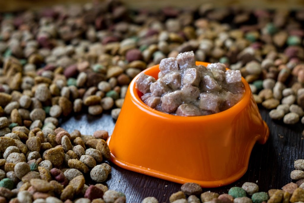 High shear emulsifier for hygienic applications